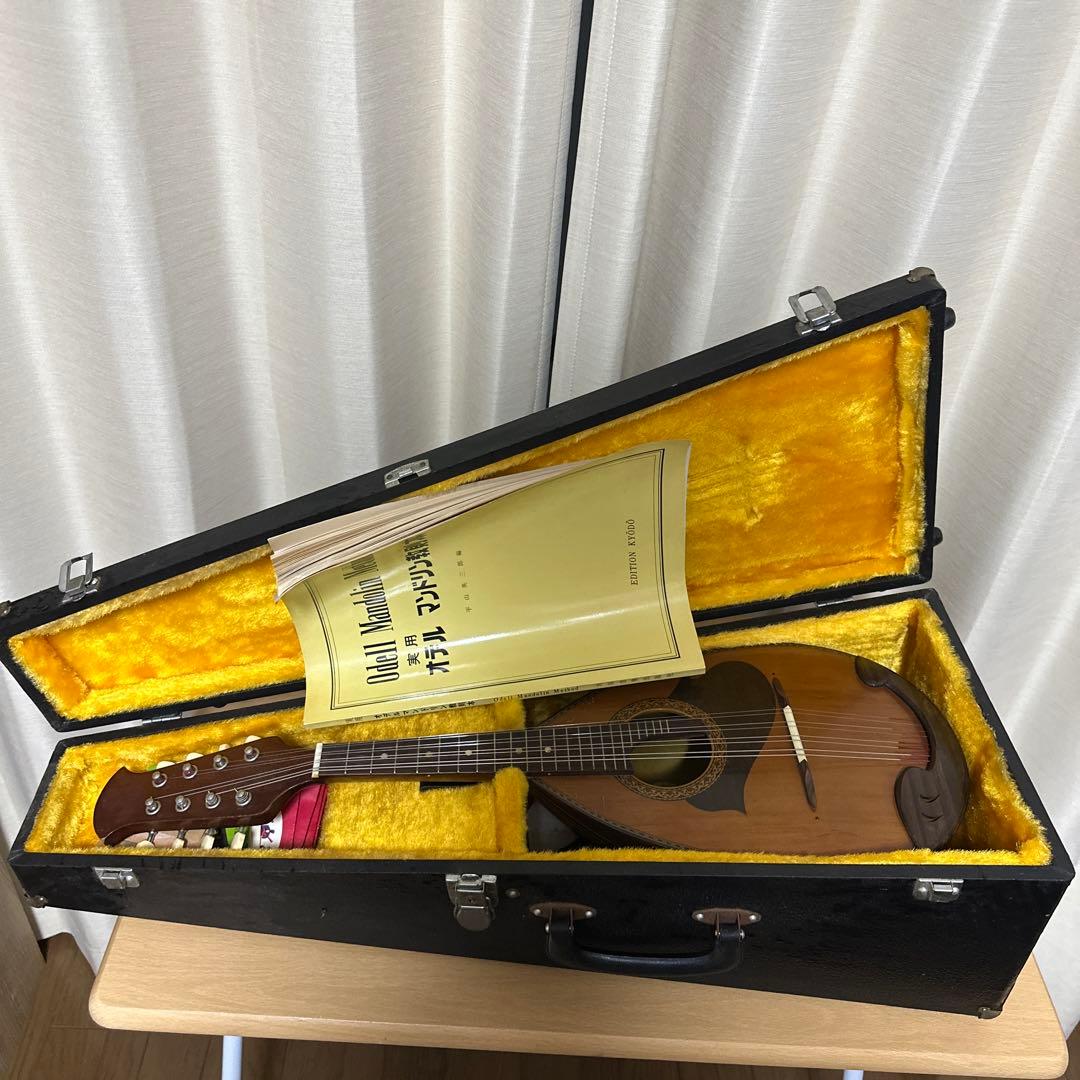 【ハードケース付き】スズキ SUZUKI マンドリM-215