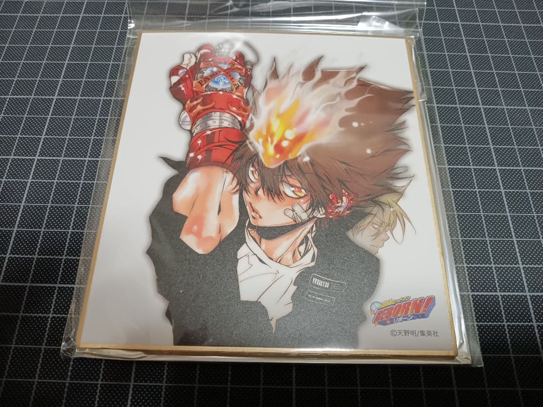 天野明展　in京都　ミニ色紙コレクション　リボーン　綱吉