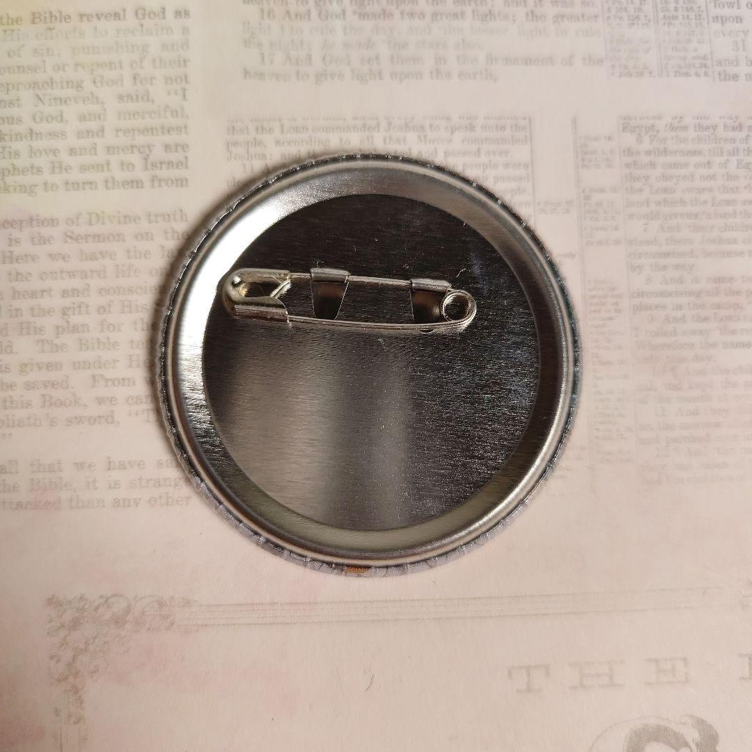 夏目友人帳 夏目貴志 田沼要 缶バッジ