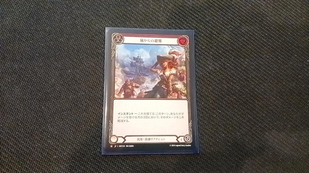 flesh and blood 嵐からの避難 JP NF