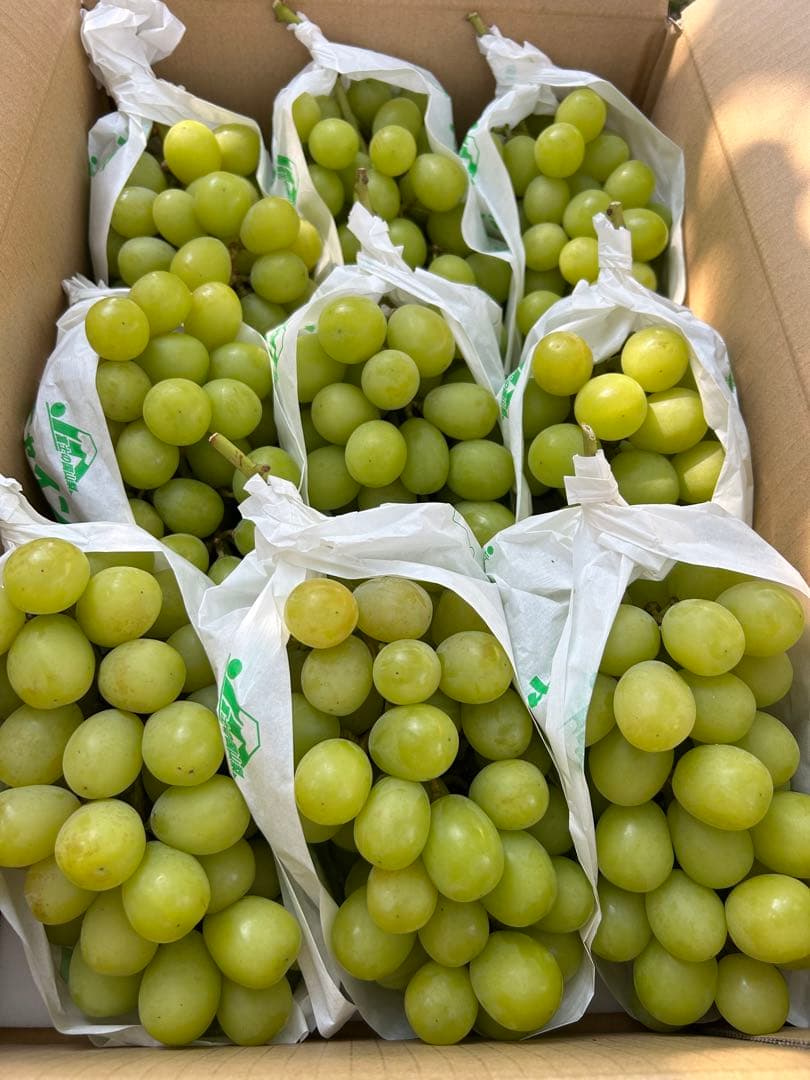 山梨県産　ぶどう　シャインマスカット 正味5キロ　家庭用