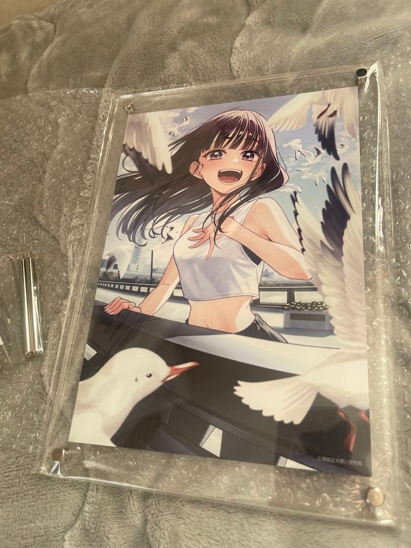 IDOL×IDOL STORY！　渚美海　アクリル個装複製原画