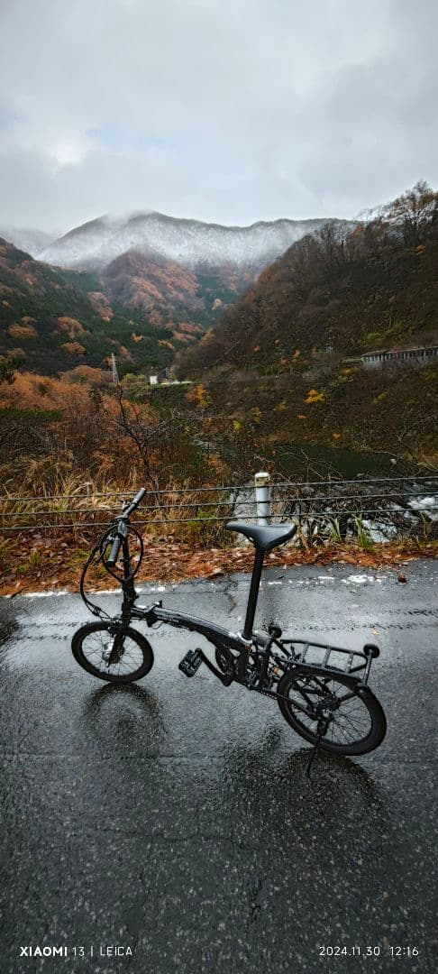 電動アシスト自転車+α Harry Quinn ebike カスタムVER.