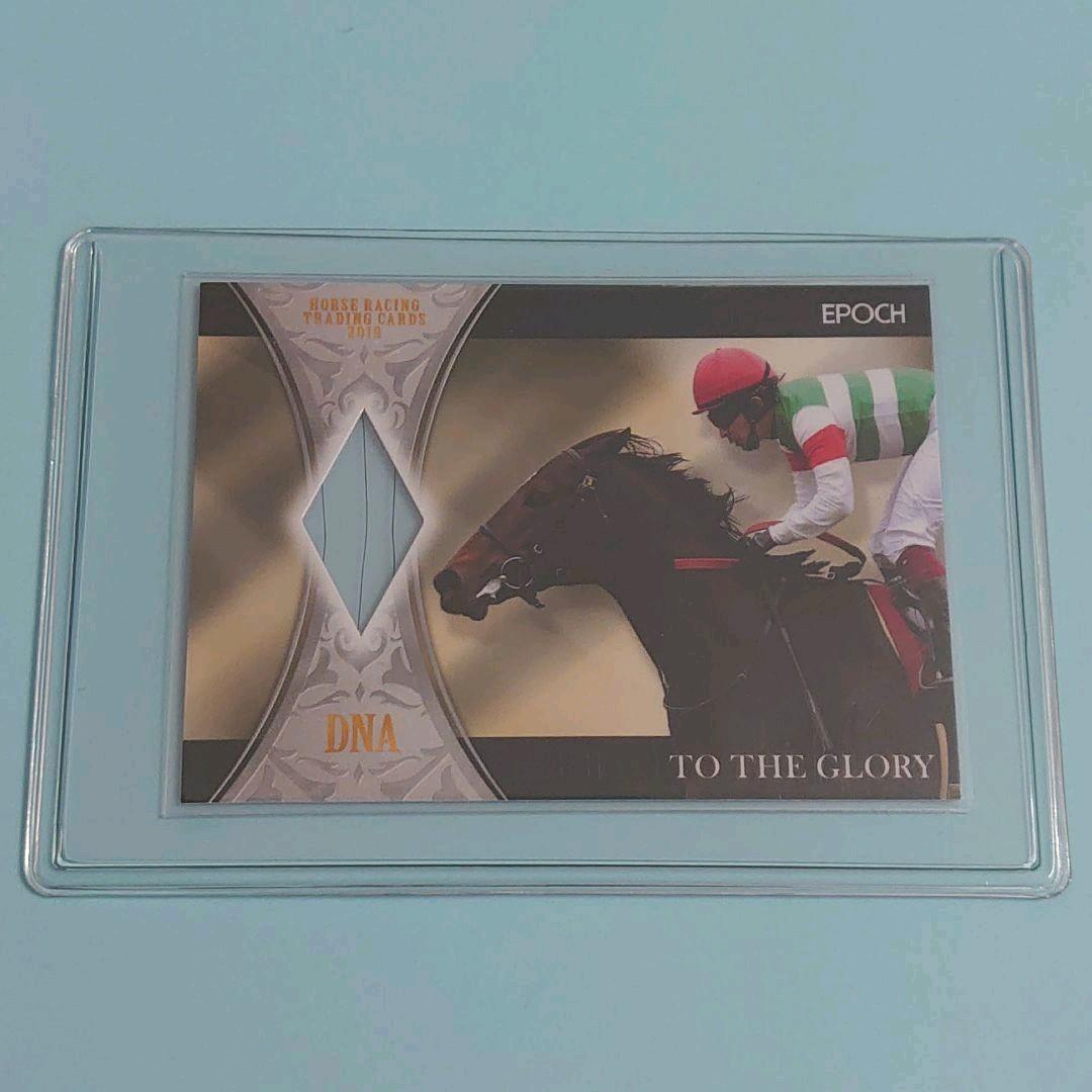 【限定品】ホースレーシング2019　トゥザグローリー DNACARD   ウマ娘