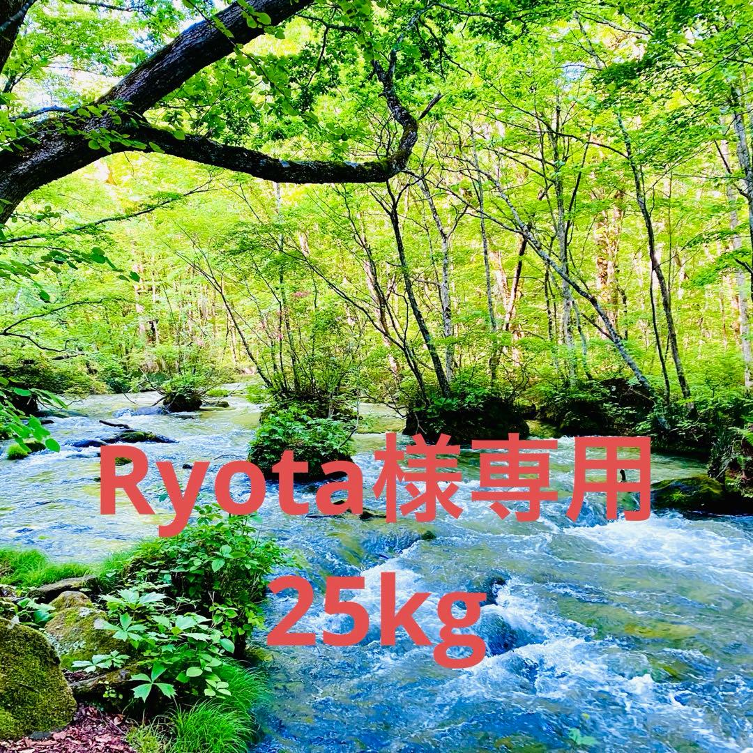 Ryota　25kg