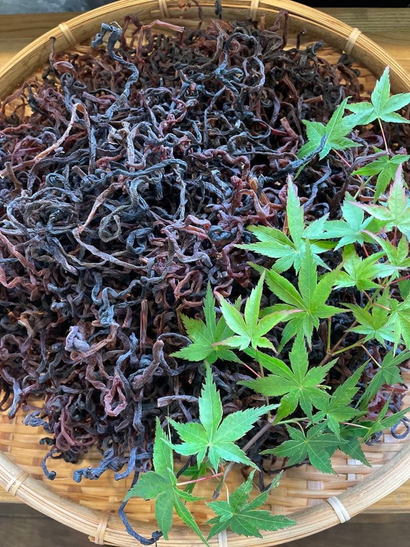 くまもと産干しぜんまい1キロ