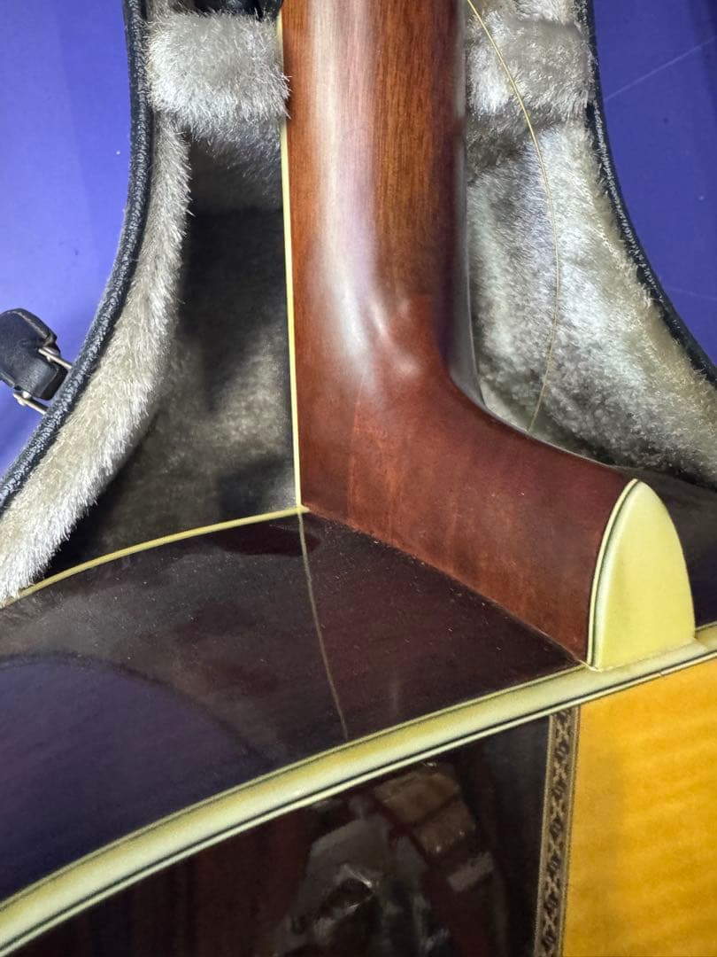 MORRIS TF-801 アコースティックギター