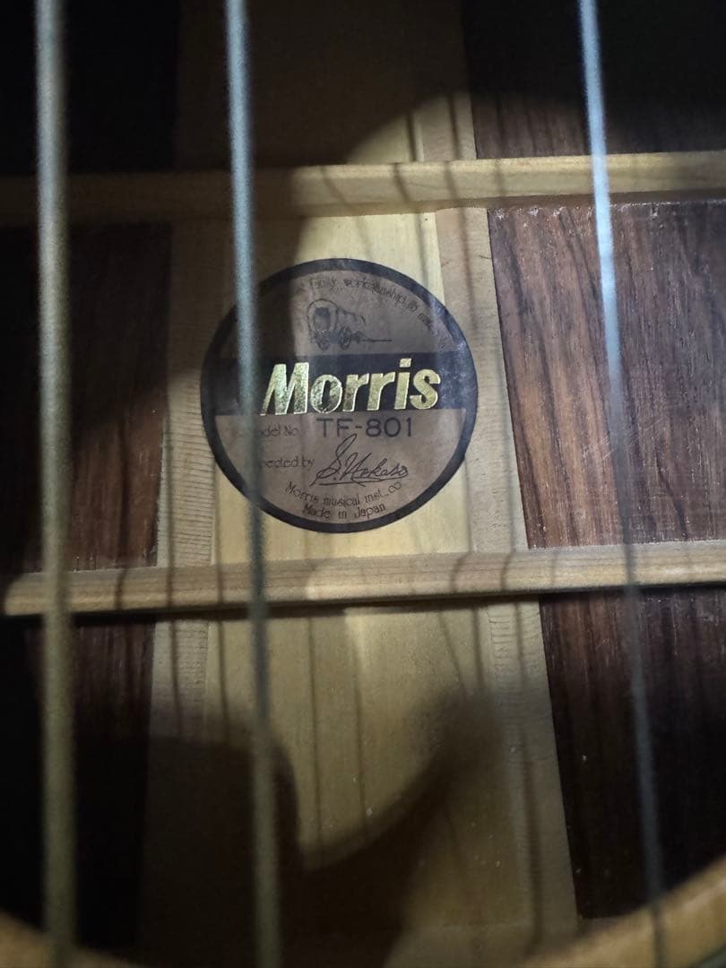 MORRIS TF-801 アコースティックギター