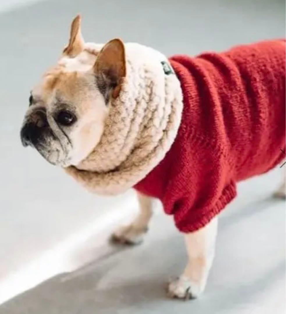 【新品未使用】フレンチブルドッグ用セーター 赤 レッド ニット