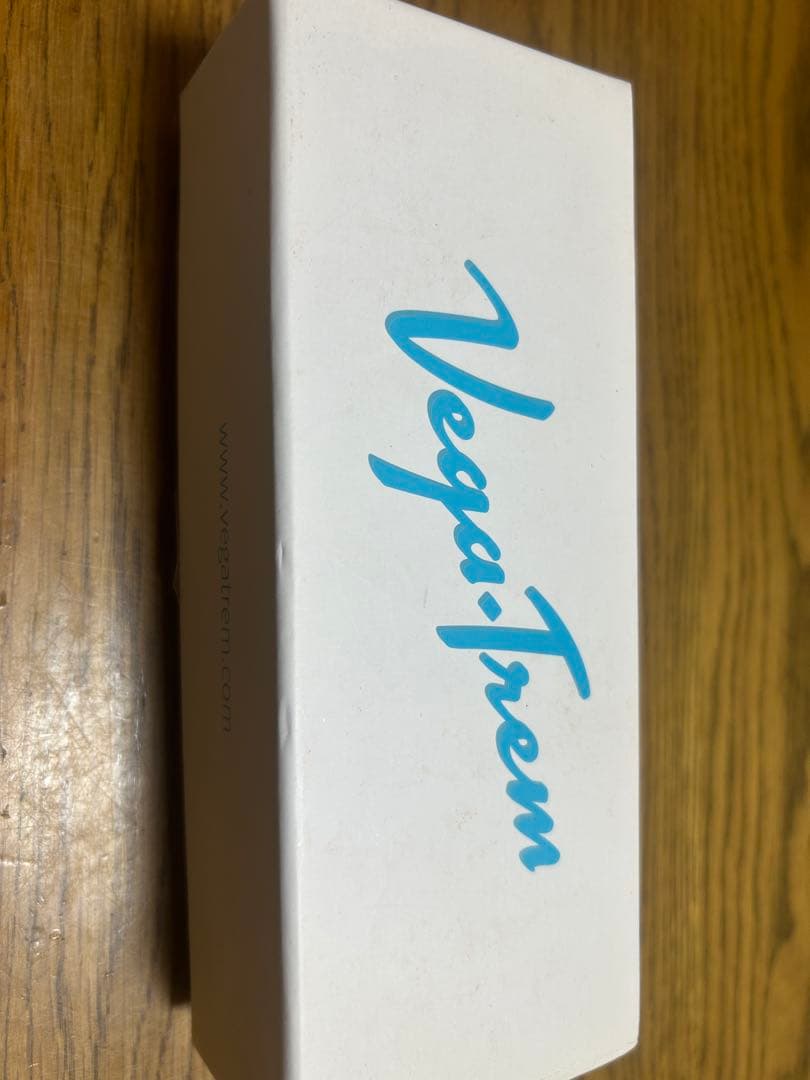 Vega Trem エレキギター トレモロシステム