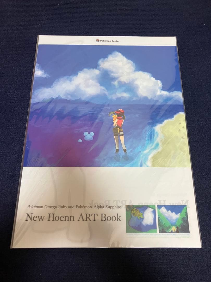 【非売品】ポケットモンスター ポケモン ハルカ アチャモ クリアポスター