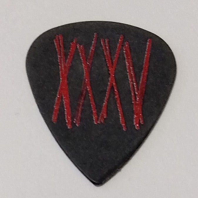 ONE OK ROCK 2015 USツアー TORU ギターピック Pick