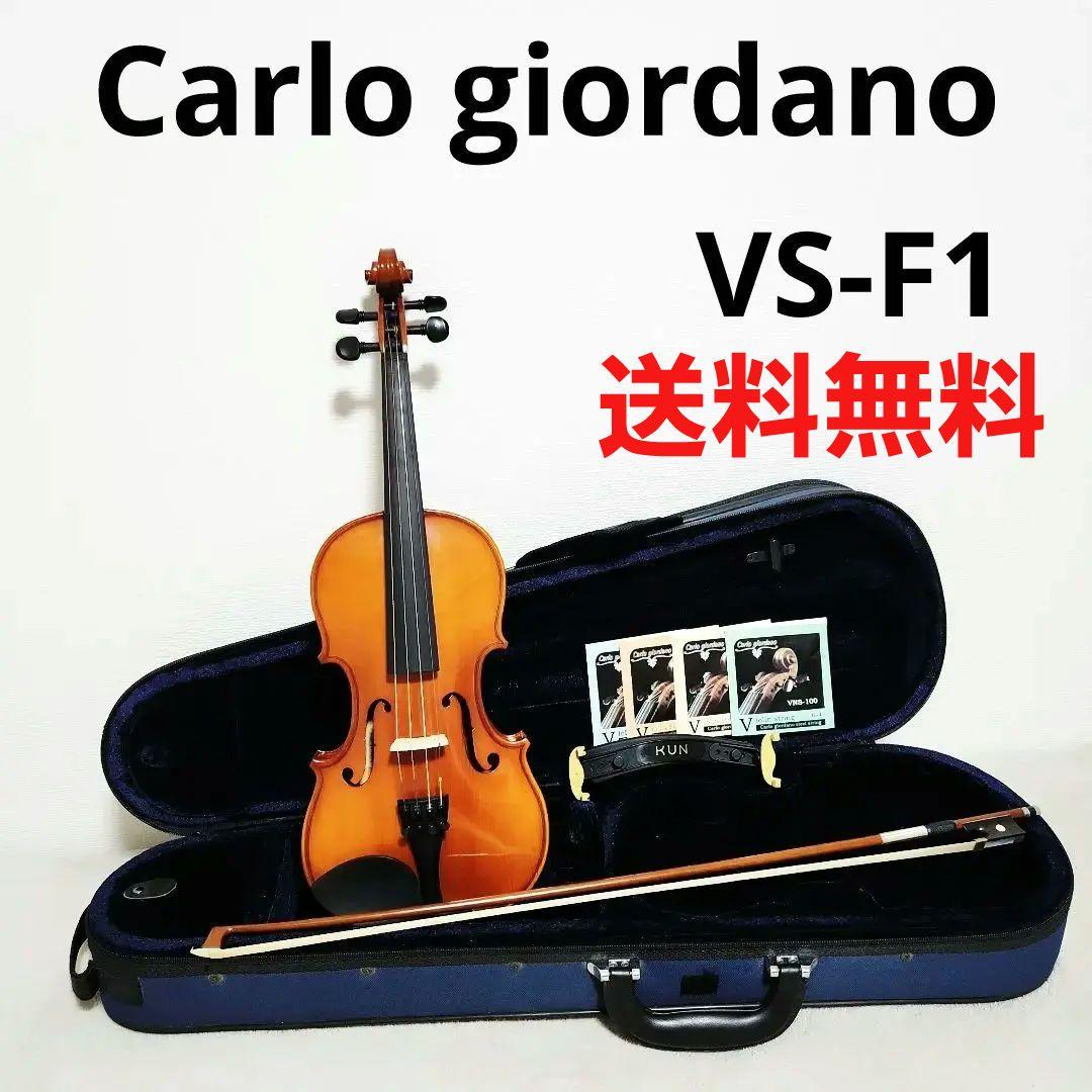 Carlogiordano VS-F1 3/4 カルロジョルダーノ バイオリン