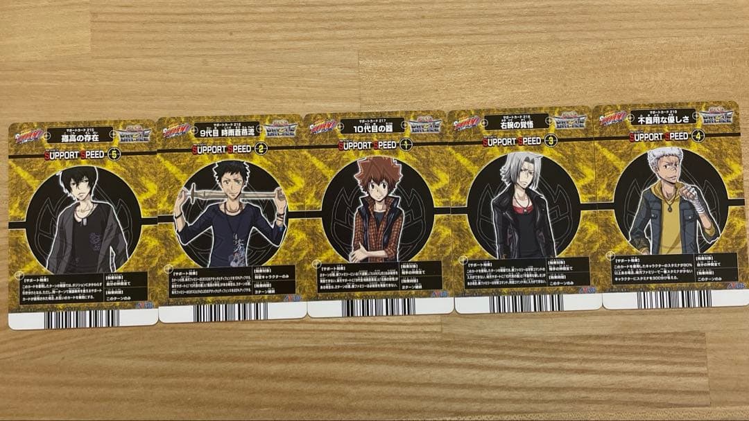 家庭教師ヒットマンREBORN サザンクロスバトル　ツナ　雲雀　獄寺　山本　笹川