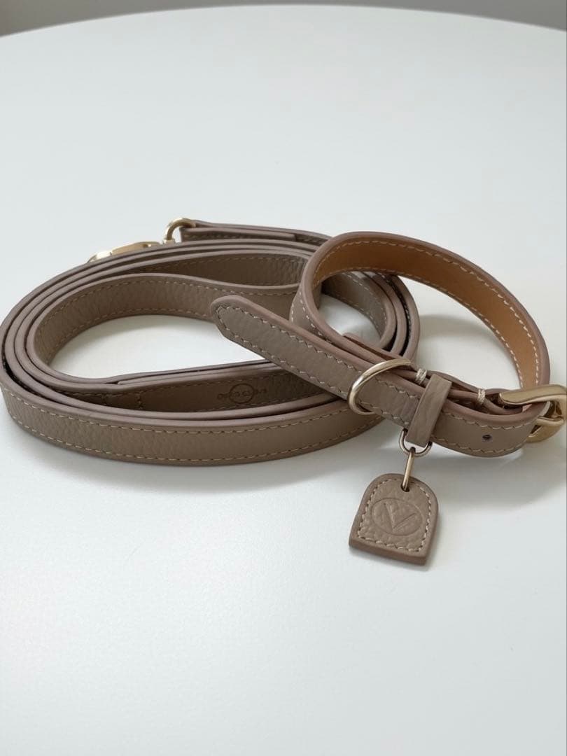 OVER GLAM 首輪＆リードセット Sサイズ