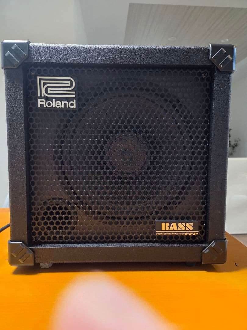 Roland ローランド ベース用アンプ CUBE-30