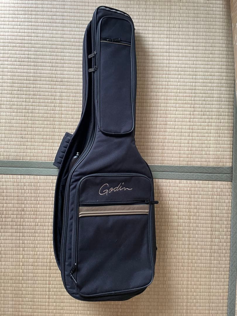 【Made in 】Godin session ストラトキャスター