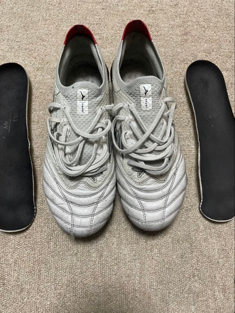 モレリアネオ4β