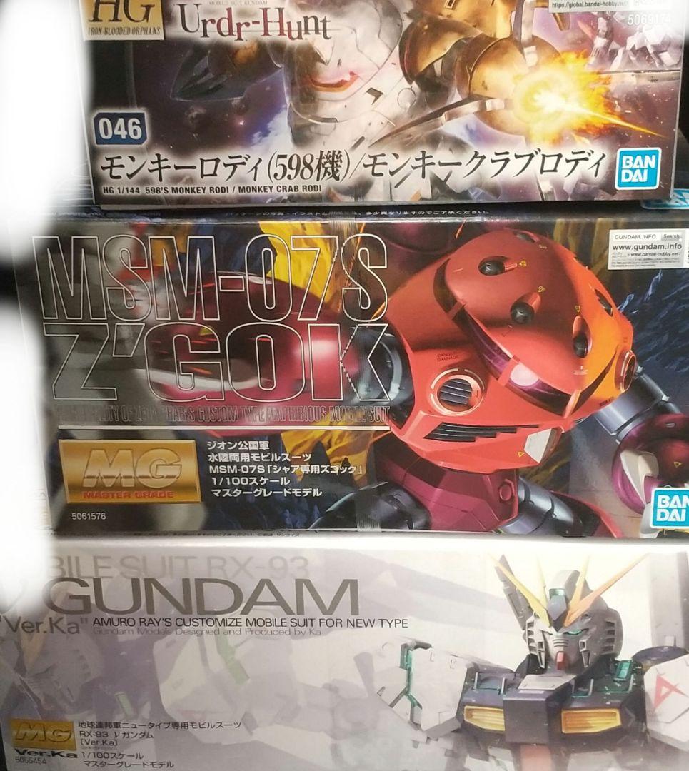 MG ニューガンダムverKa シャア専用ズゴック HG モンキーロディ他 6個