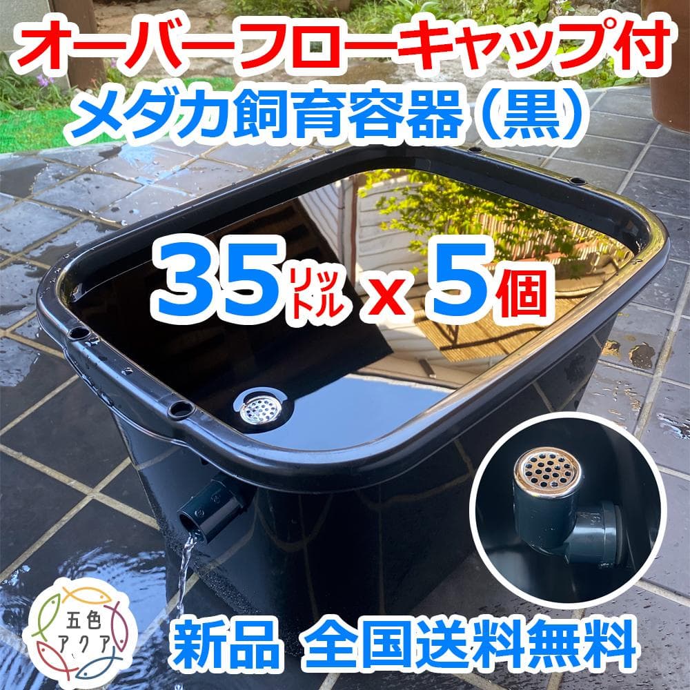 メダカ飼育ケース 35㍑黒x5個 オーバーフロー 金魚飼育容器 めだか飼育容器
