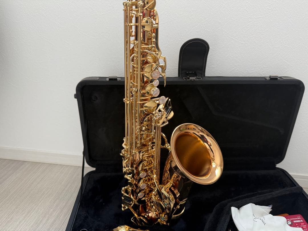 YANAGISAWA アルトサックス A-WO2