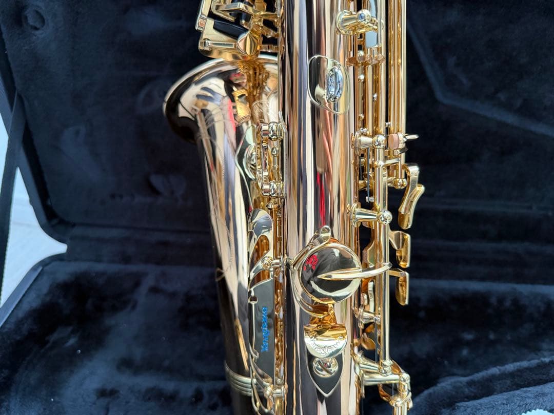 YANAGISAWA アルトサックス A-WO2