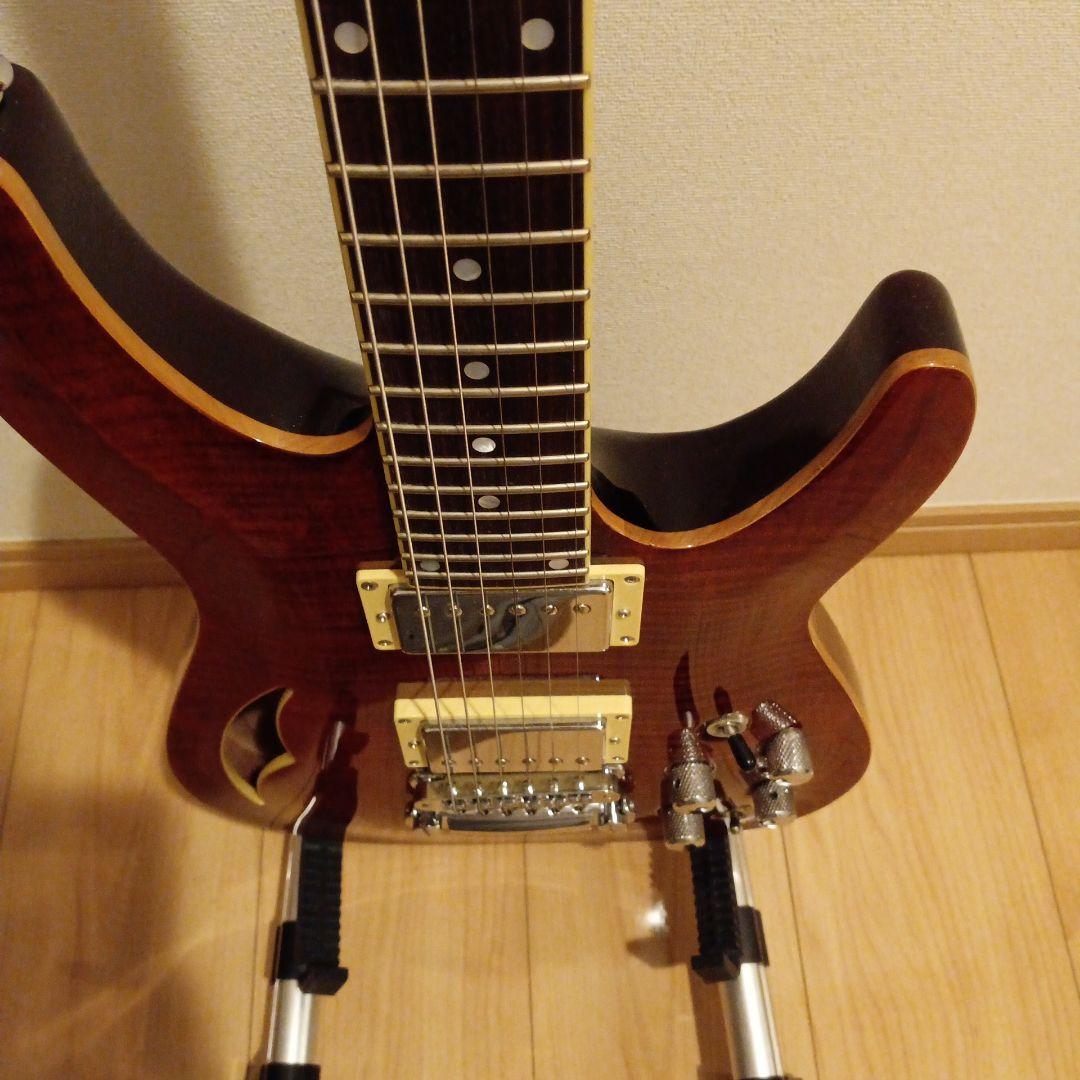SCHECTER ( シェクター ) C-1 E/A CAT'S EYE