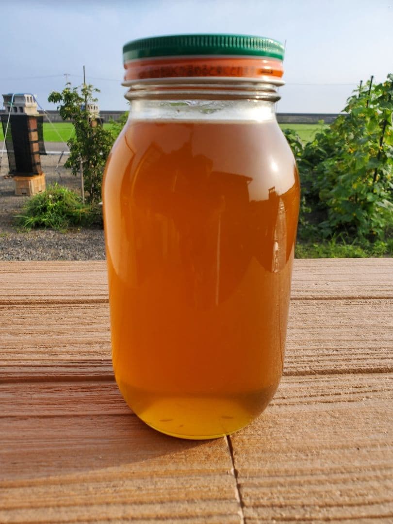 No.23　★日本蜜蜂のはちみつ★1200g(1瓶)