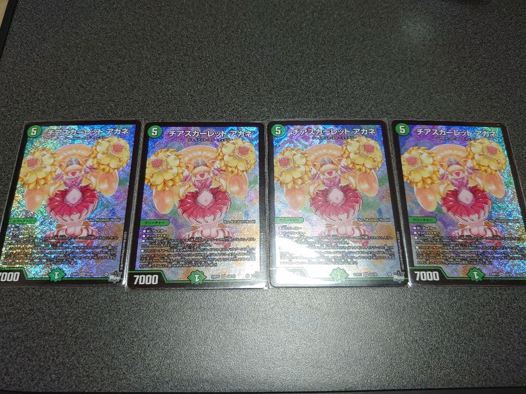 チアスカーレットアカネ 4枚セット
