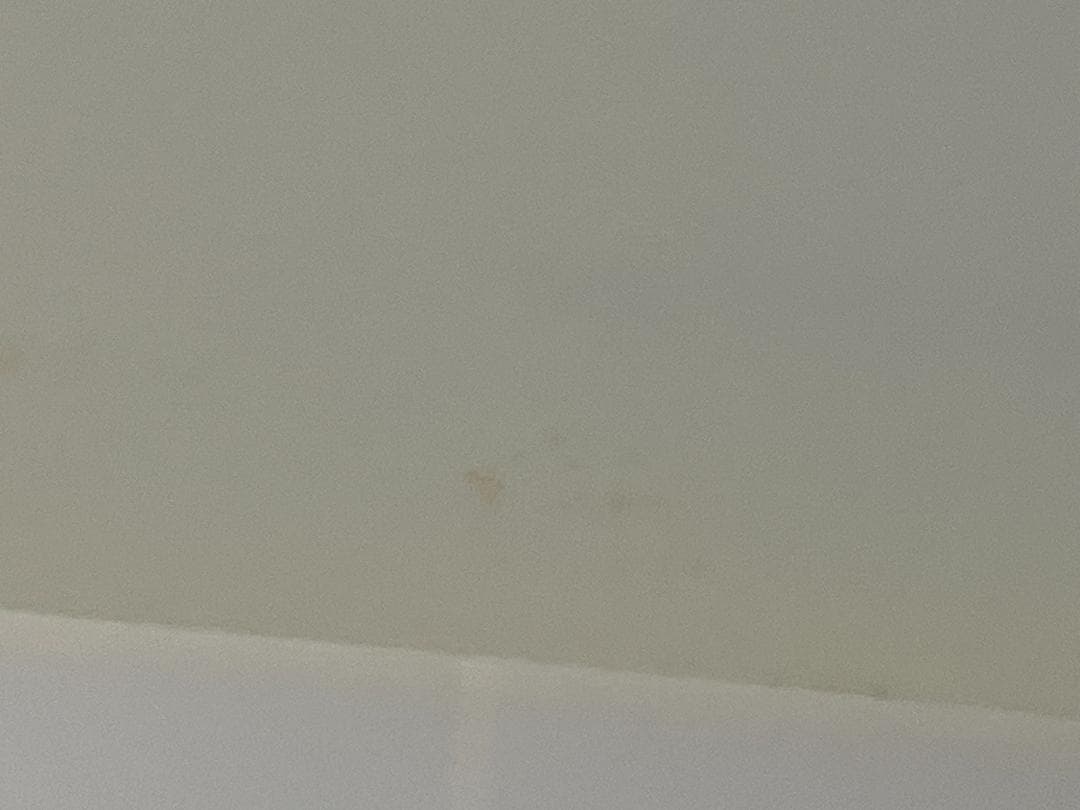 マイケルジョーダン wings ビッグ ポスター ウイング