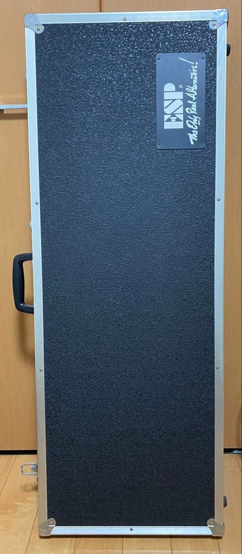 ESP horizonカスタム