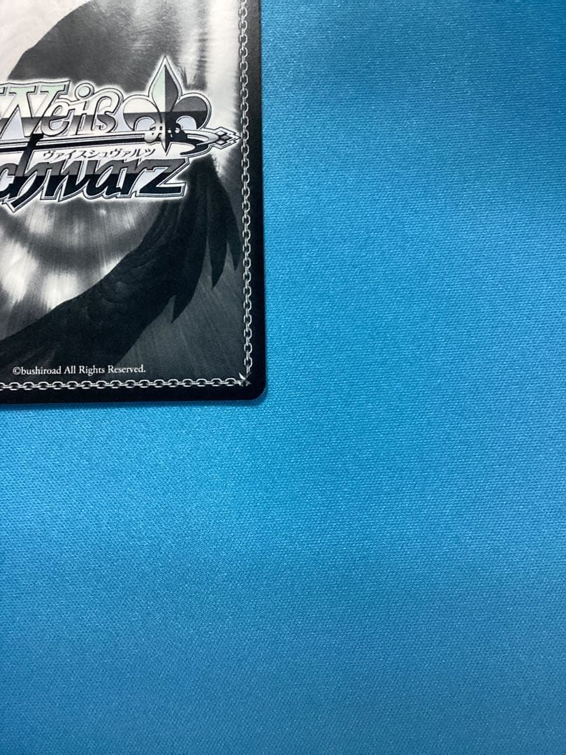 WS 白い稲妻 タマモクロス SSP サイン