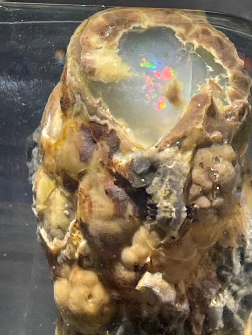 宝坂オパール　遊色セミブラックノジュール　原石　国産鉱物