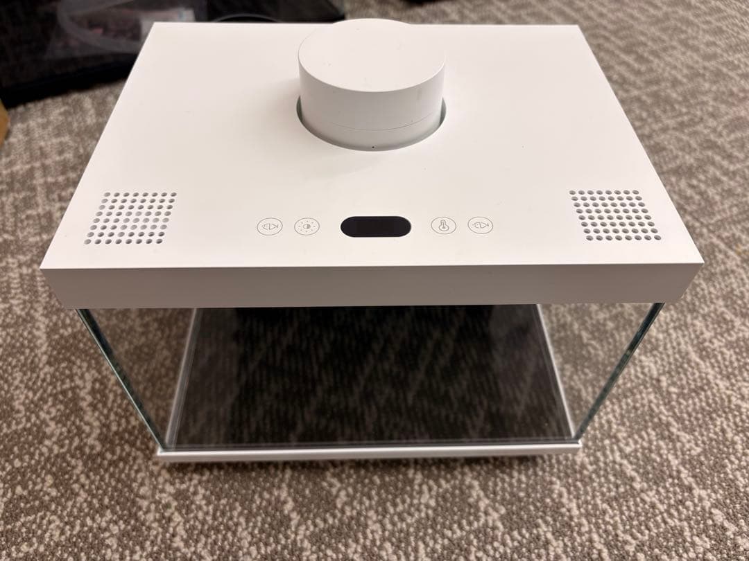 LED 濾過器付き　ガラス水槽