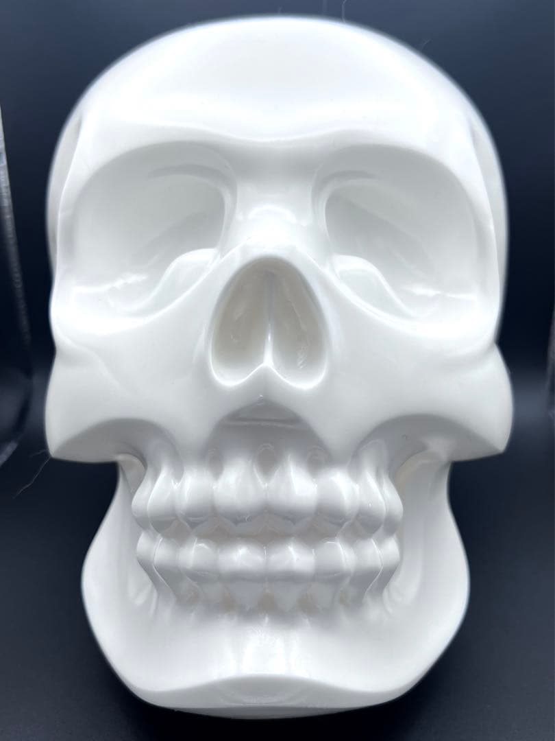 その他 HASADHU SHINGON SKULL SCULPTURE IN WHITE