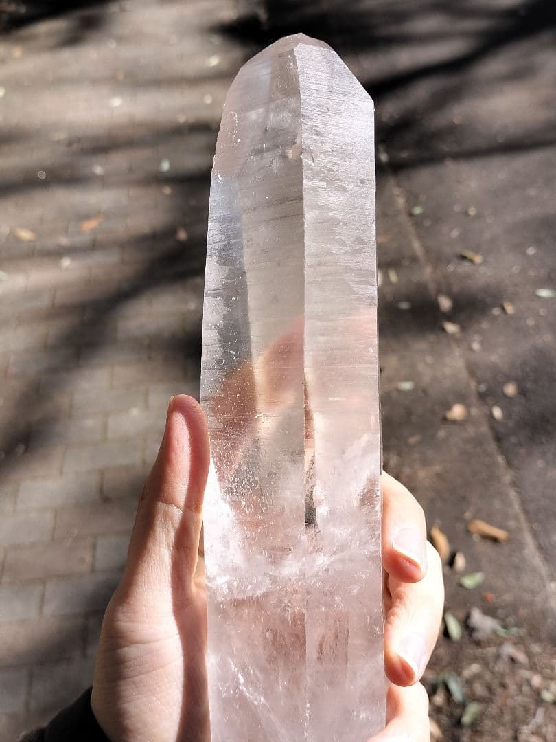 【早いもの勝ち超特価】レムリアンシード