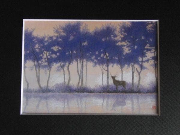 小谷野直己、【花影】、希少な額装用画集より、新品額装付、状態良好