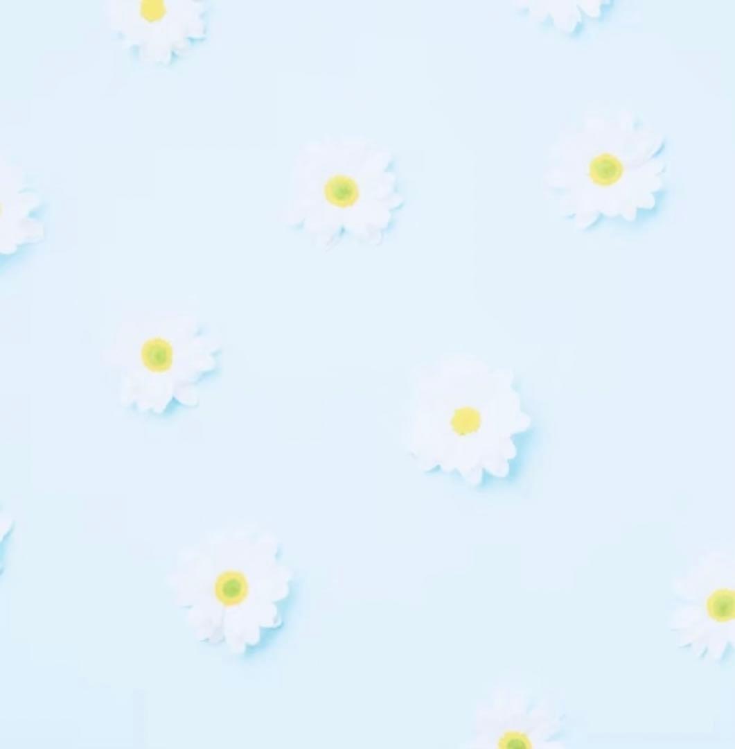 プロセカ 東雲絵名 ノーブルアート ロウワー 未開封