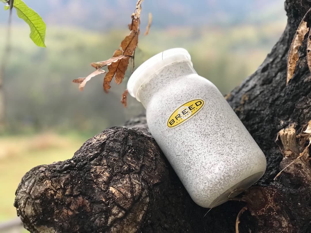 BREED　１１００菌糸ビン　１５本　Go様