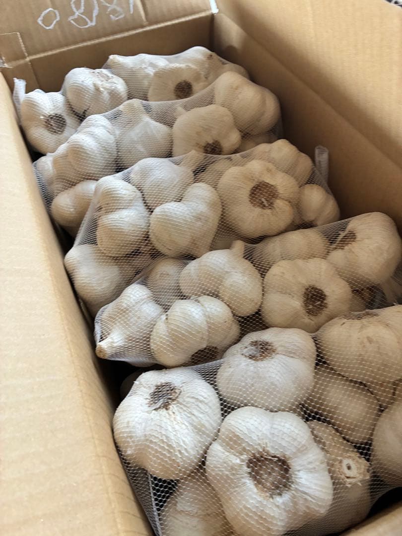 新物　青森県にんにく5キロM ラスト！