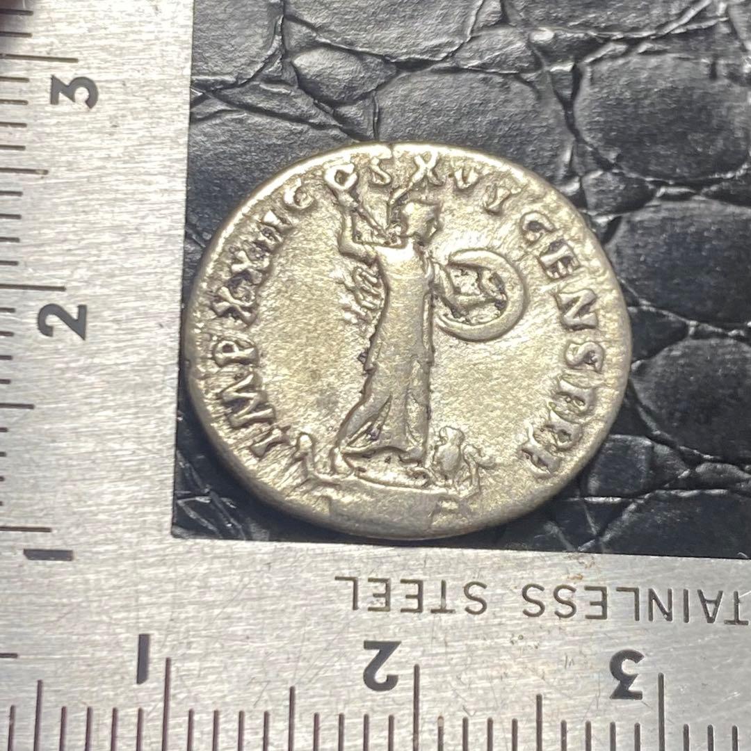 コレクション Ale