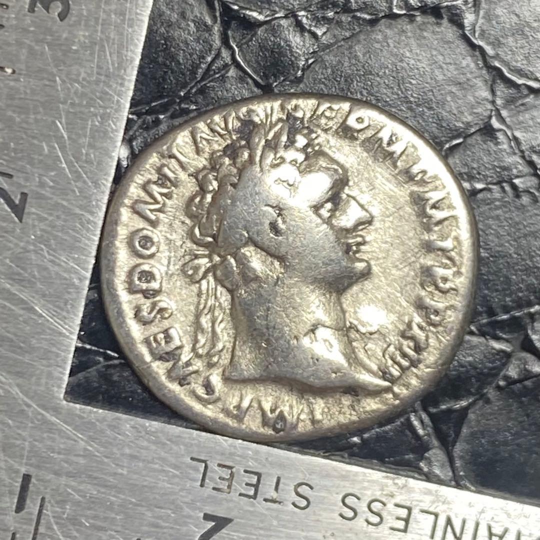 コレクション Ale