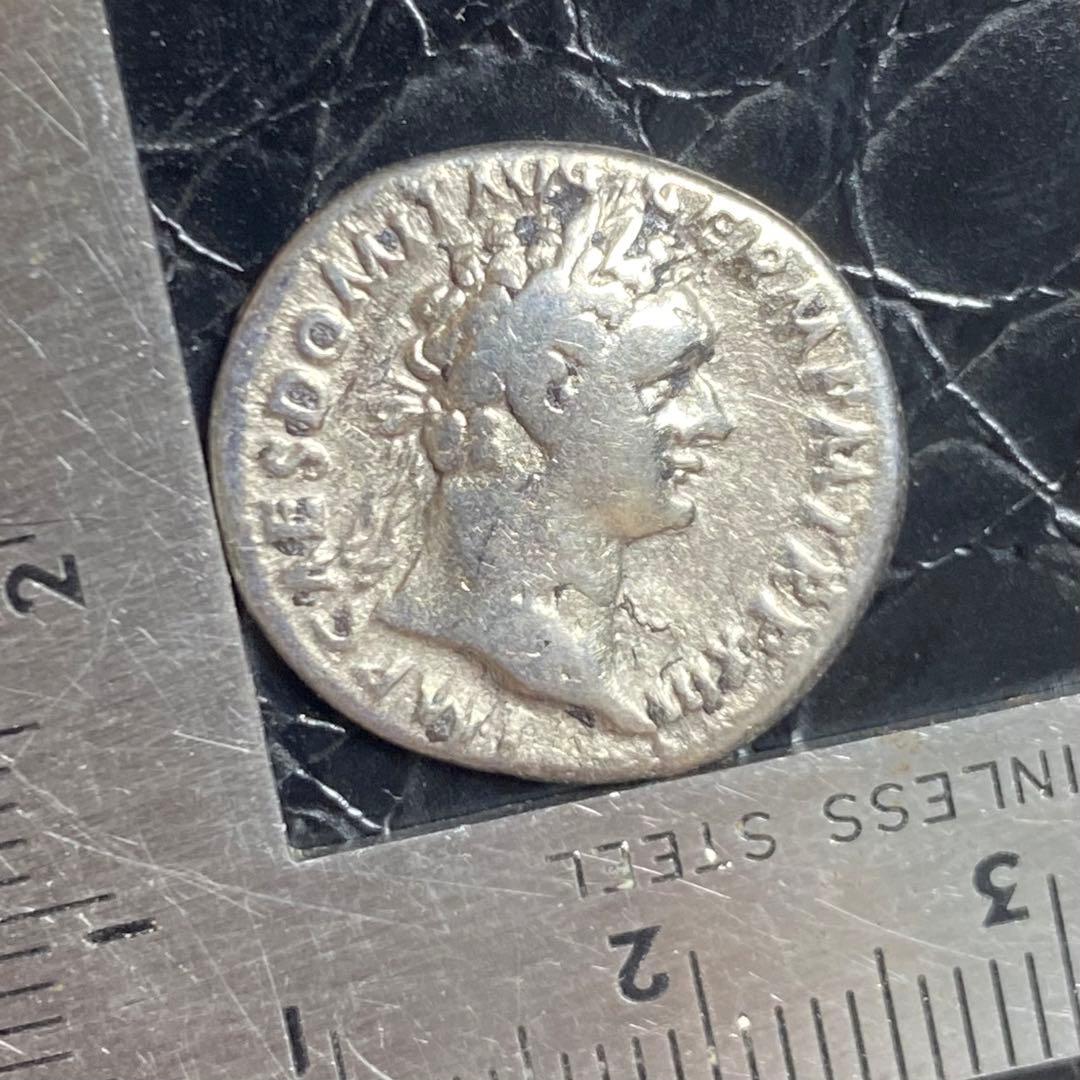 コレクション Ale