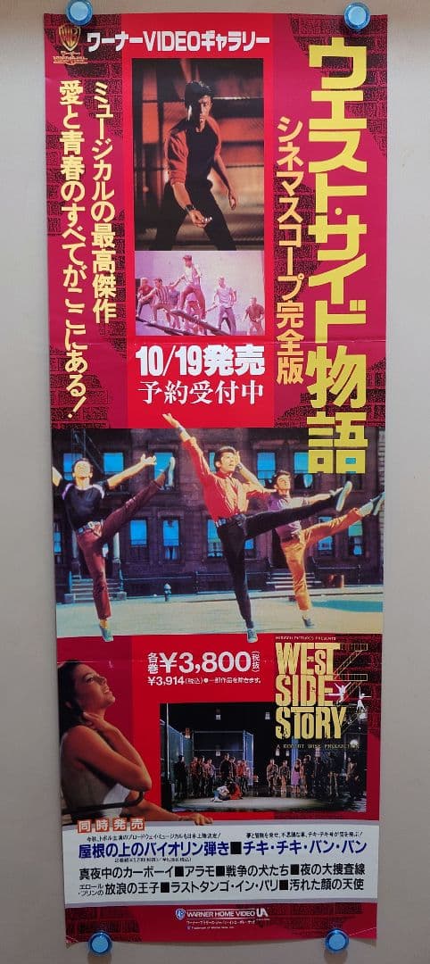 【レア・貴重】『 ウエストサイド物語 』販促用ポスター　縦長