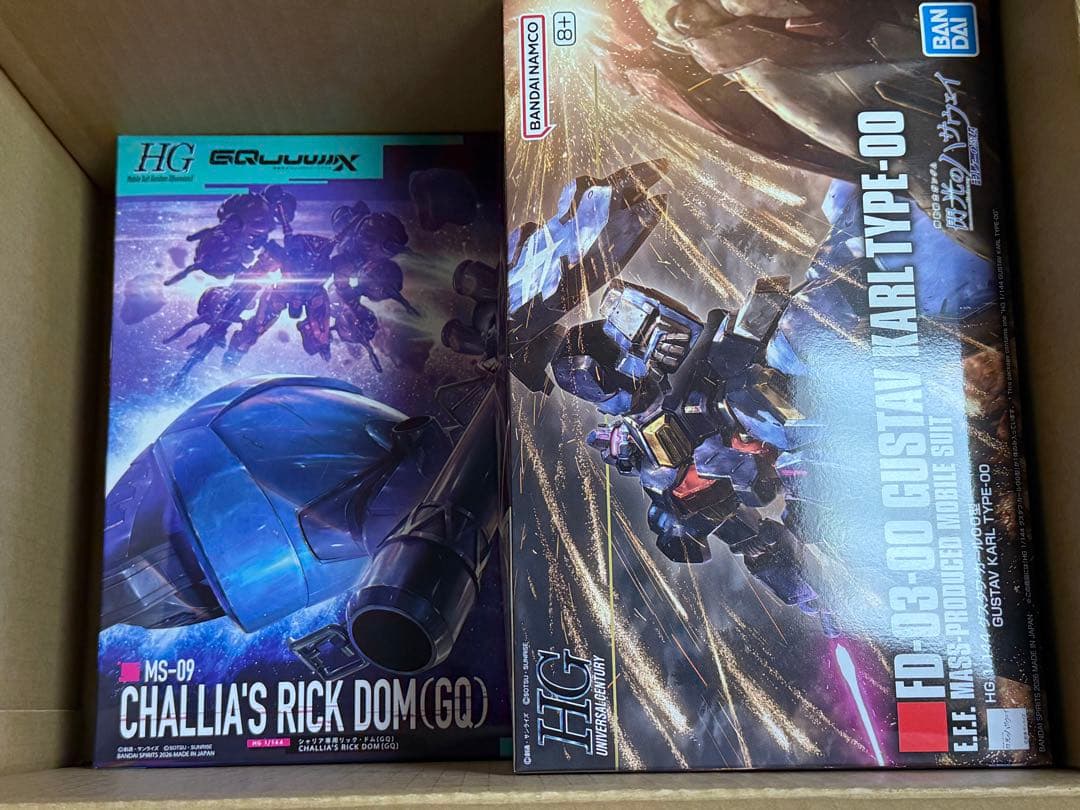 HG シャリア専用リック・ドム(GQ) HG グスタフ・カール００型