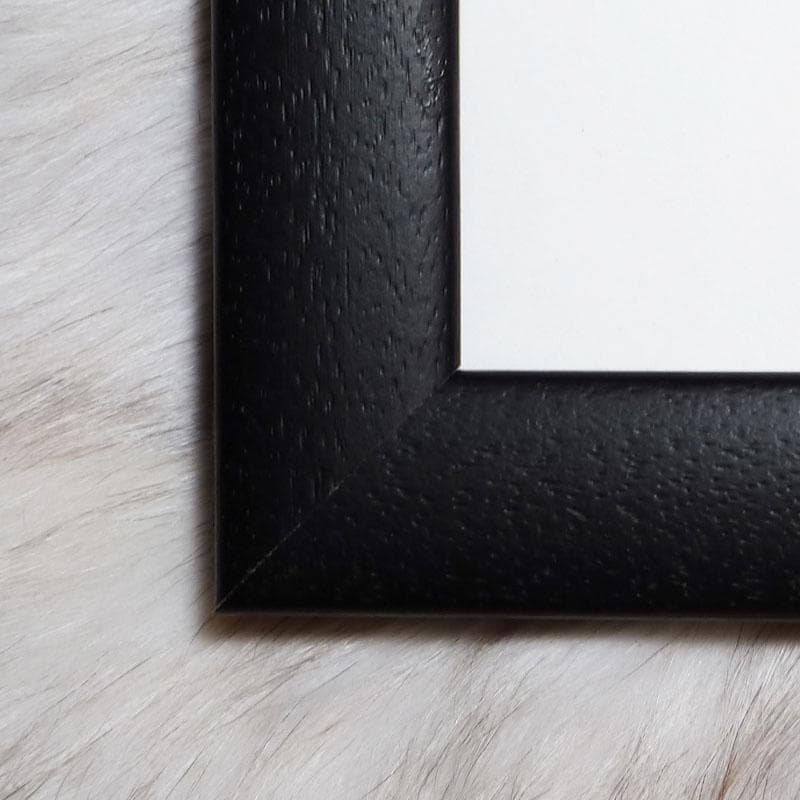 特別額装品/Number 18 1950（ジャクソン ポロック）