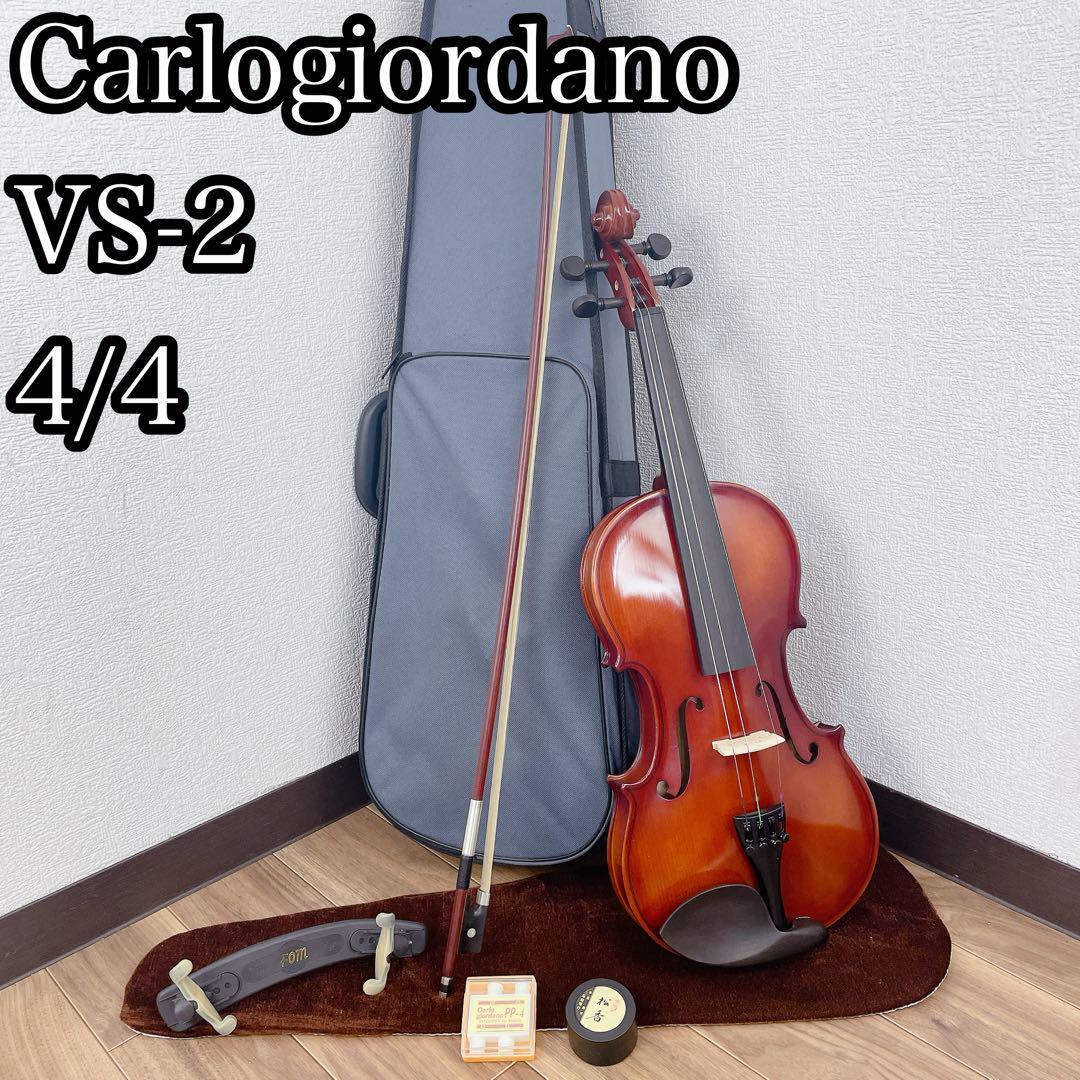 Carlogiordano vs-2 4/4 バイオリン