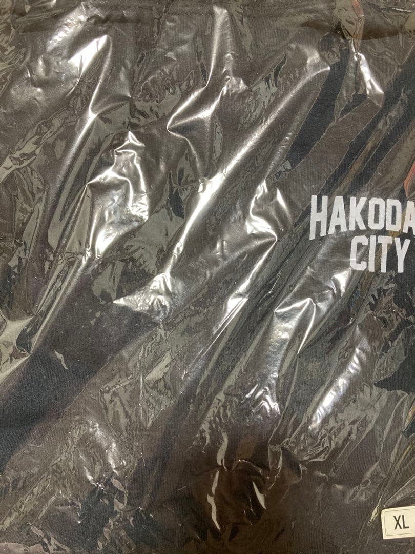 GLAY HISASHI SPIKE RECORDINGS パーカー ver.2