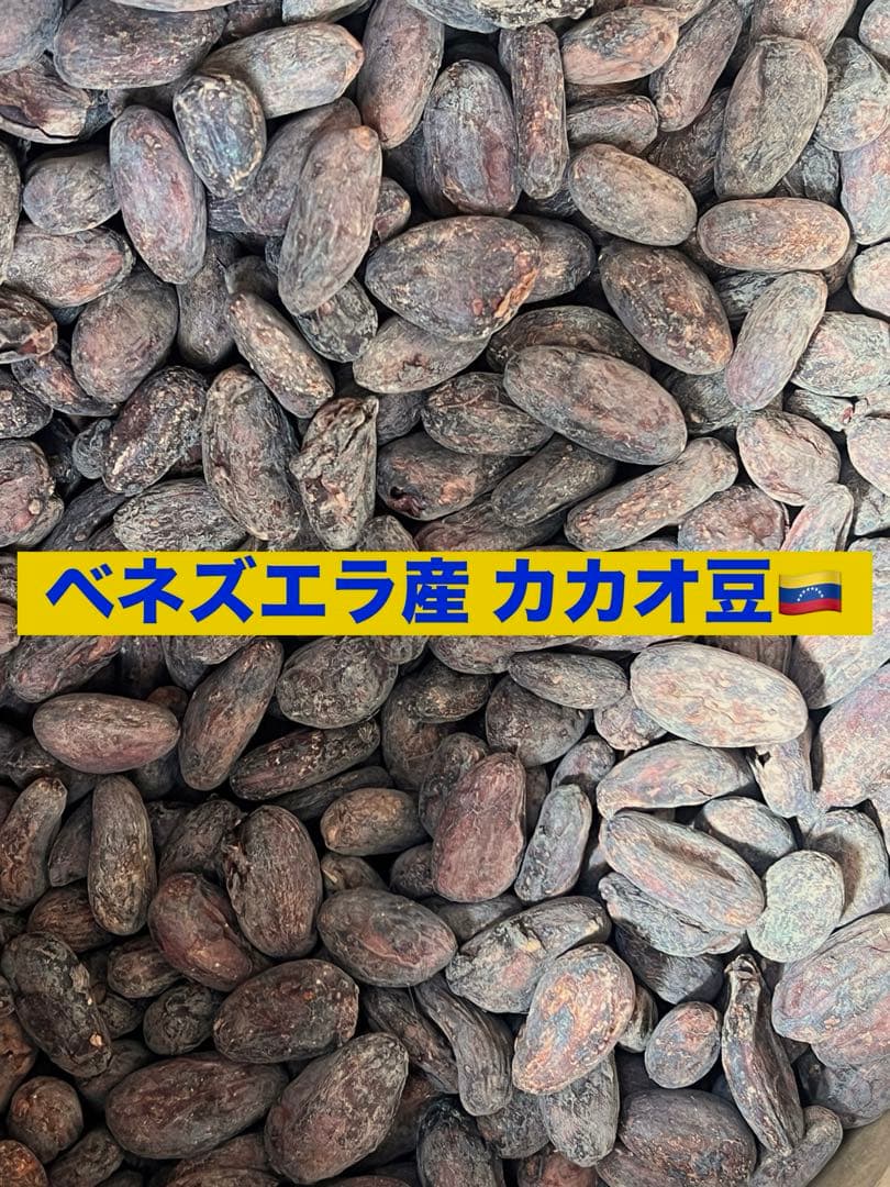 カカオ豆 ベネズエラ産 3kg