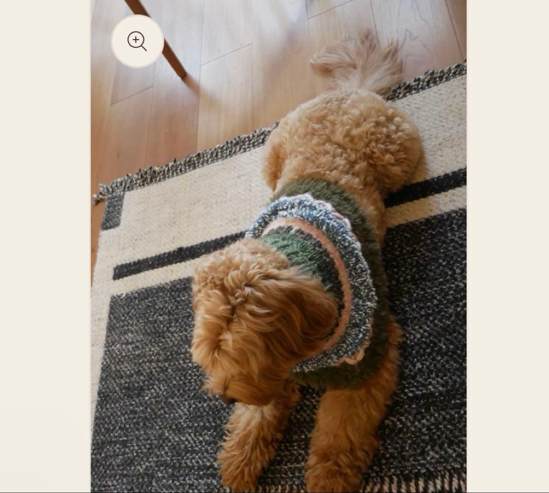 【完売品】multi × mellowbear ニットポンチョ